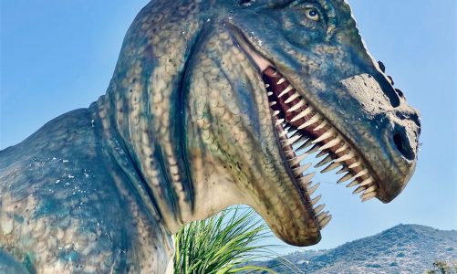 Mystères : quelle était la puissance de morsure du Tyrannosaurus rex ?