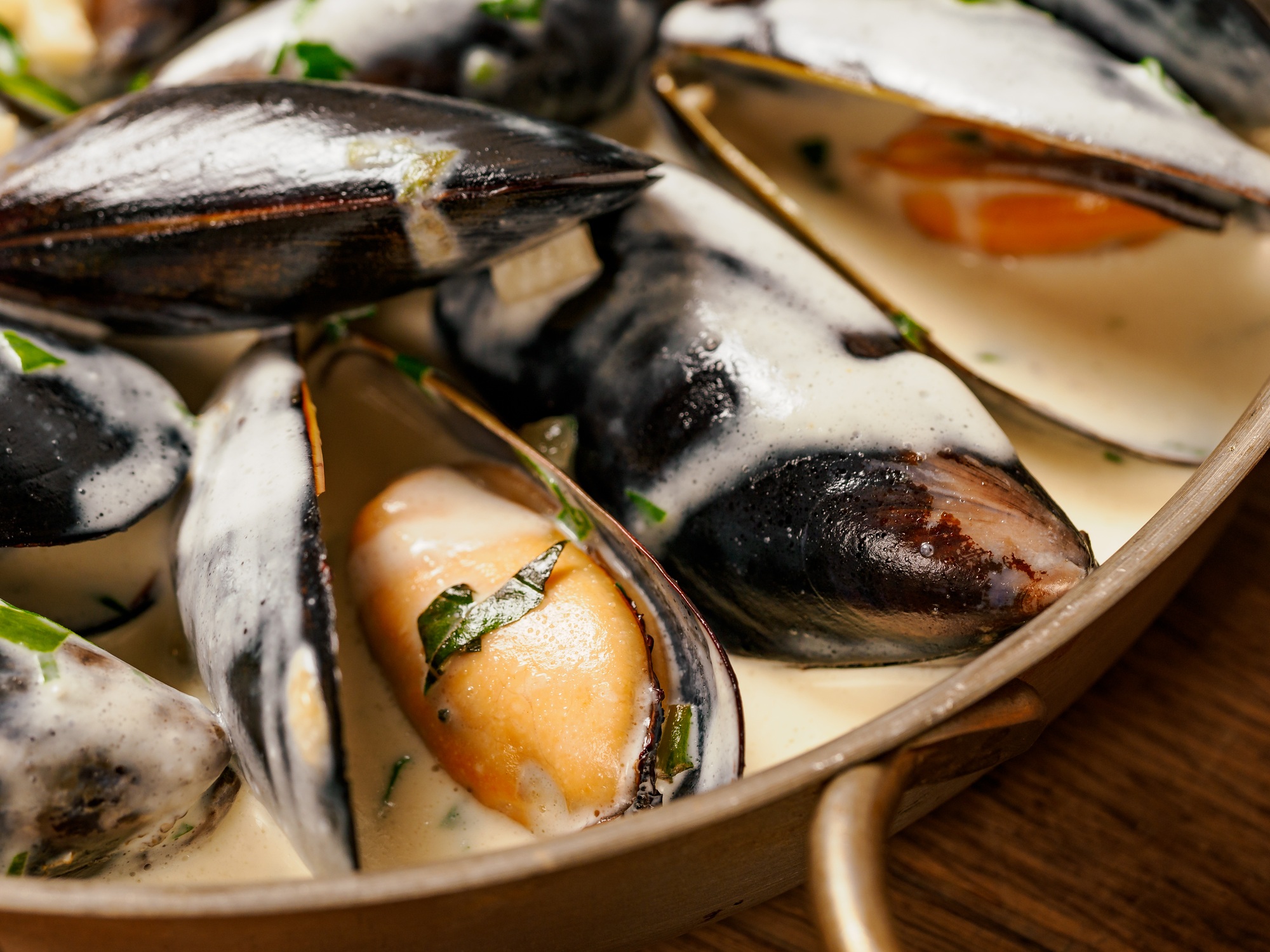 Creamy mussels on wooden background