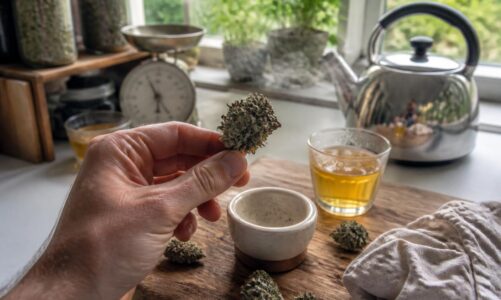 découvrez comment préparer facilement des infusions relaxantes à la maison avec des fleurs de cbd. guide pratique pour profiter des bienfaits naturels du cbd en toute simplicité.
