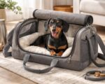 découvrez les critères essentiels pour choisir le sac de transport idéal pour votre teckel, alliant confort, sécurité et praticité.
